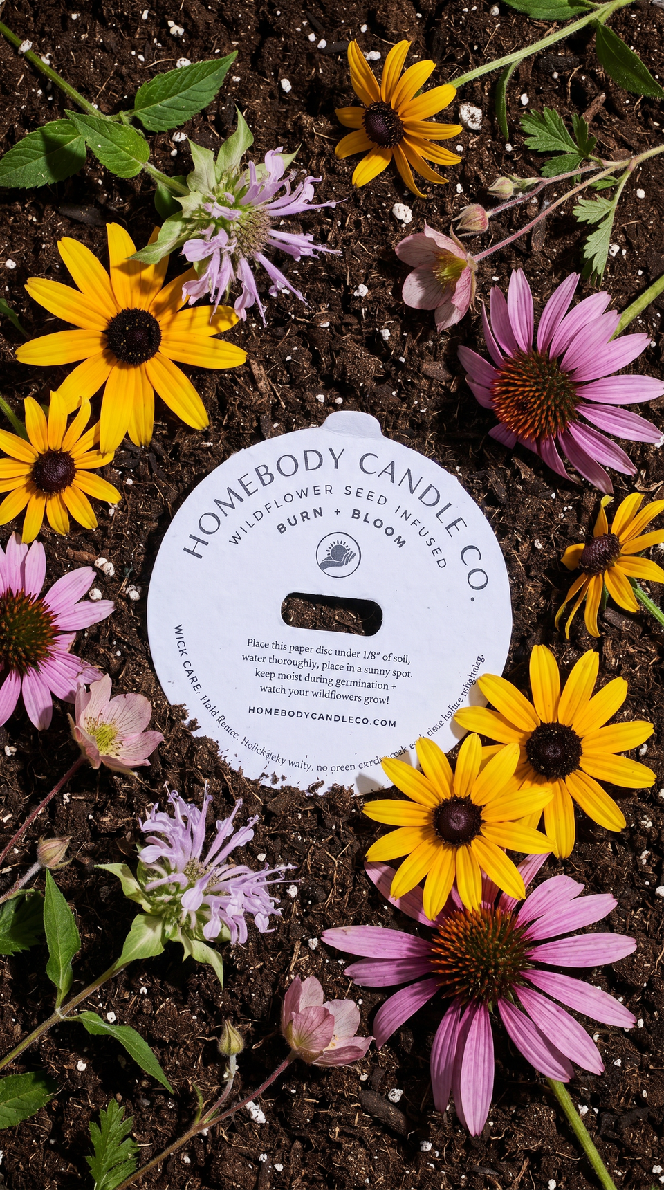 Cardamom Milk • burn + bloom candle • FALL 2026