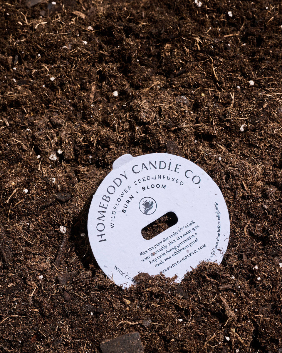 Cardamom Milk • burn + bloom candle • FALL 2026